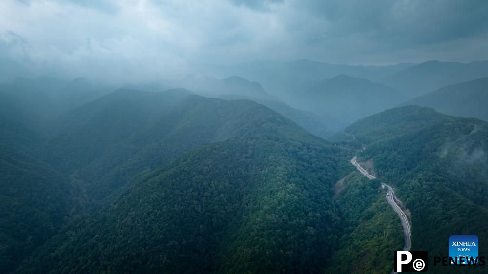View of Liupanshan National Forest Park shrouded in clouds in Ningxia, NW China