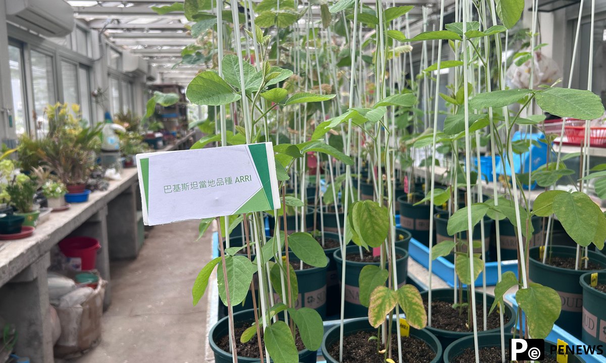 Endeavors to grow soybeans in space may bear fruition, says Hong Kong biologist