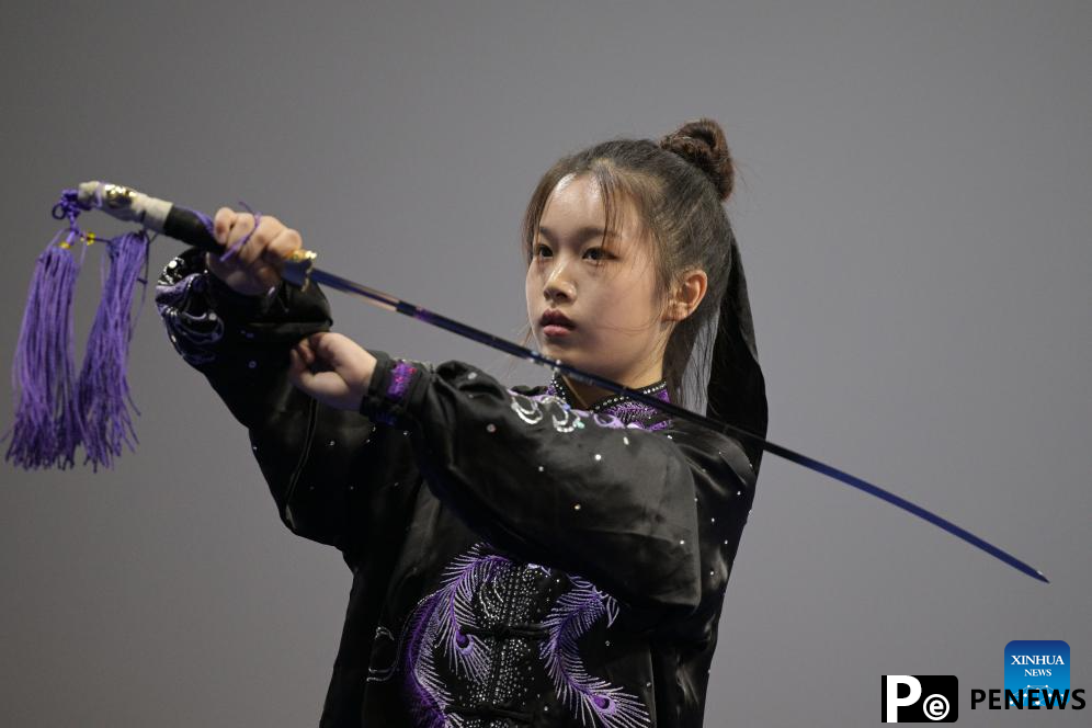 Highlights of 4th World Taijiquan Championships
