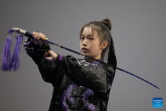 Highlights of 4th World Taijiquan Championships