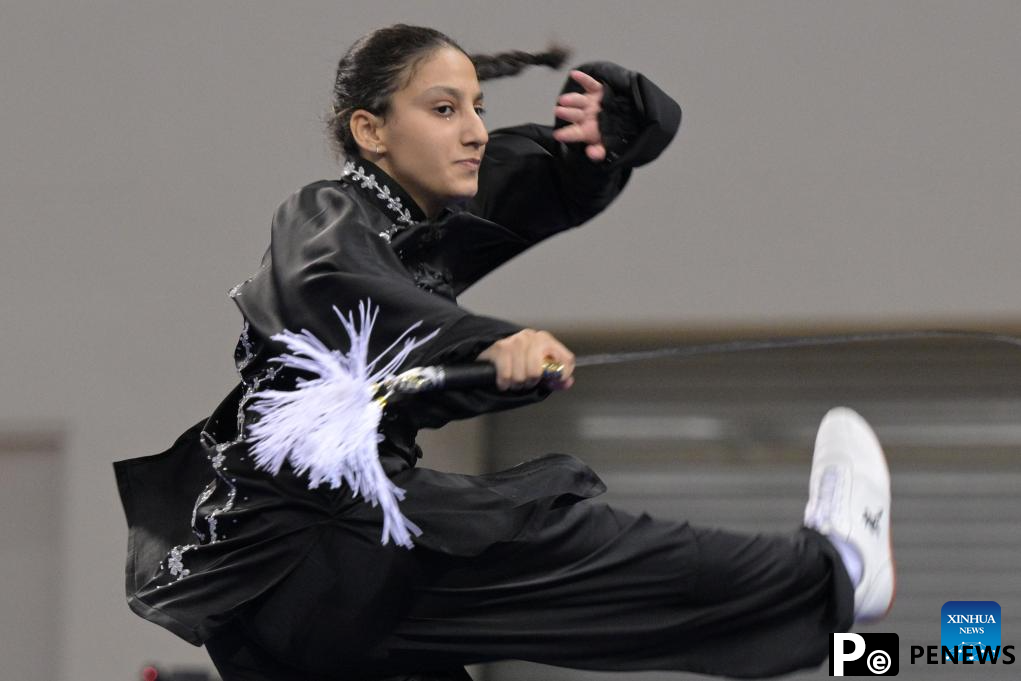 Highlights of 4th World Taijiquan Championships