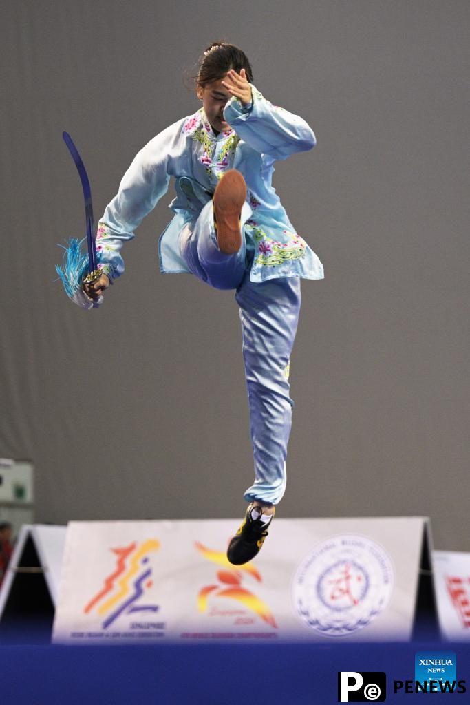 Highlights of 4th World Taijiquan Championships