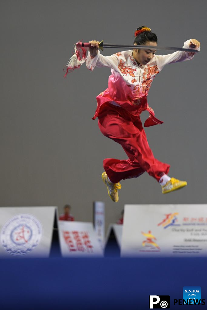 Highlights of 4th World Taijiquan Championships