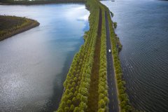 Wetland tourism heats up in China's 