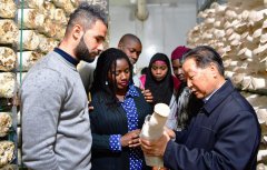 How Chinese hybrid grass technology is changing the world for the better