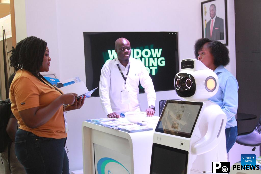Zimbabwean company harnesses China
