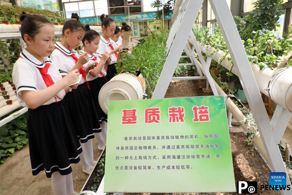 Schools across China host activities to mark start of new semester