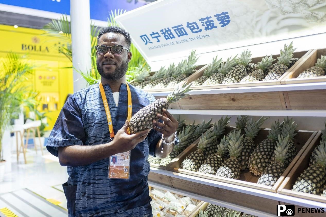 China develops debut economy to expand high