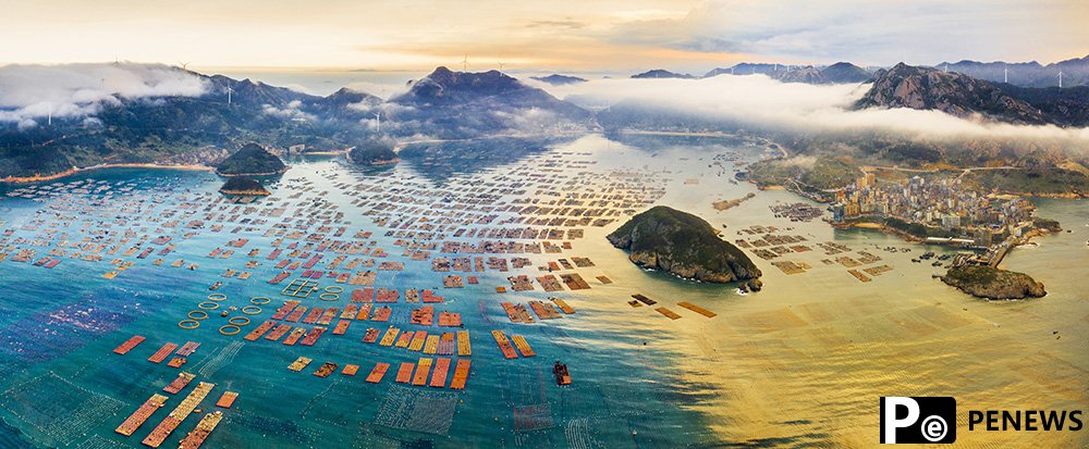 Lianjiang county: Home of abalones in China