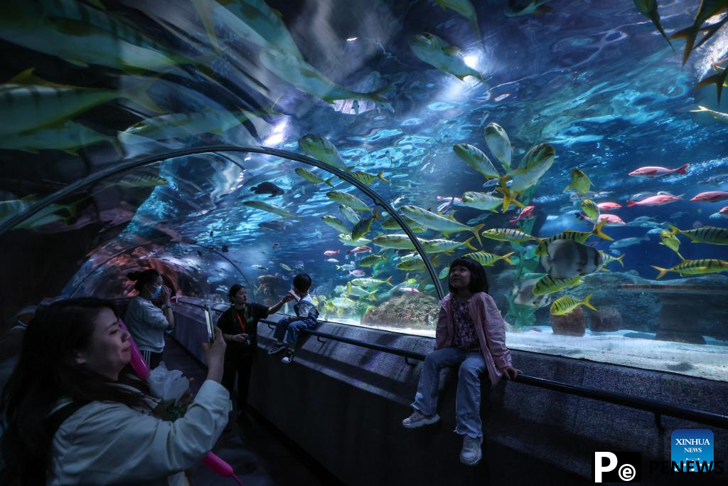 Northeast China attractions turn cool resources into summer tourism gold