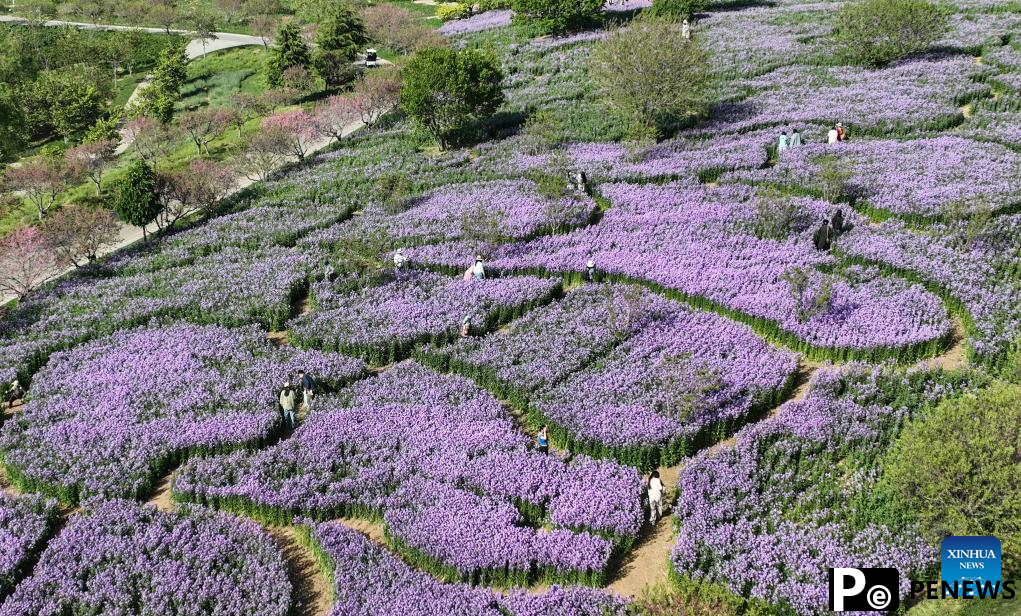 Northeast China attractions turn cool resources into summer tourism gold