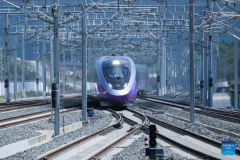Hangzhou-Wenzhou high-speed railway begins operations