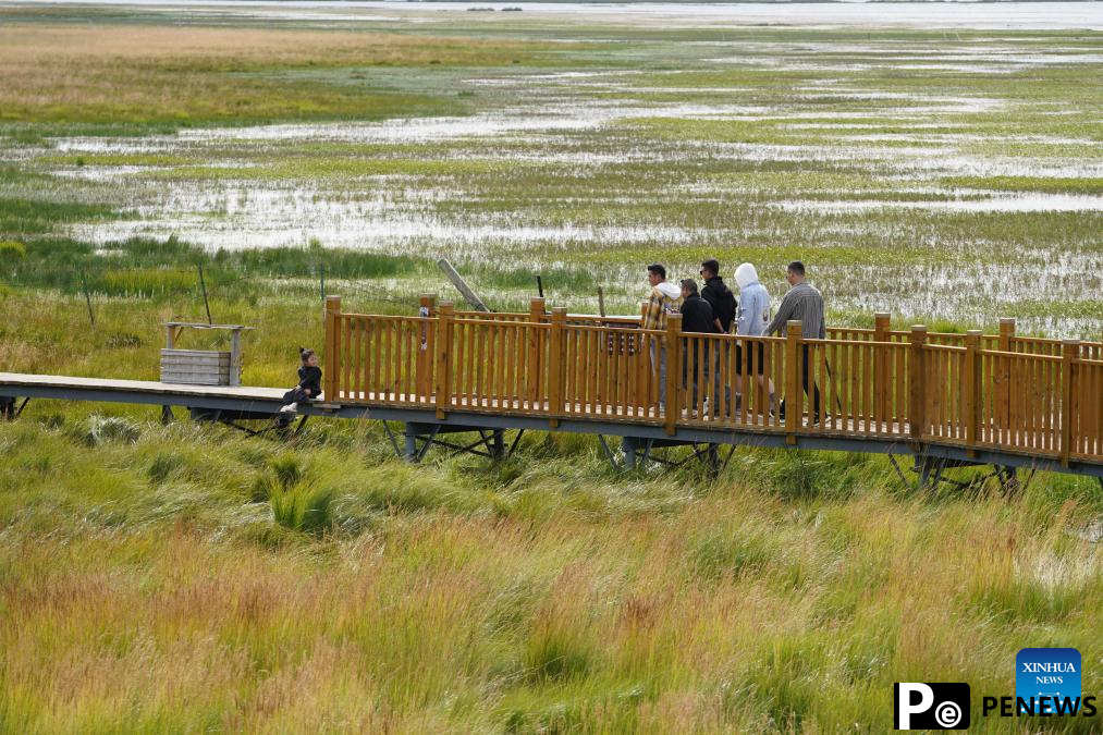 Scenery of Gahai Lake wetland in NW China