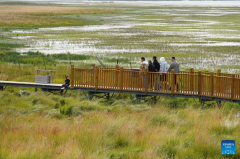 Scenery of Gahai Lake wetland in NW China's Gansu