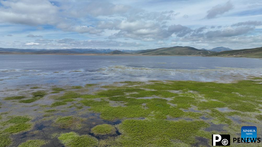 Scenery of Gahai Lake wetland in NW China