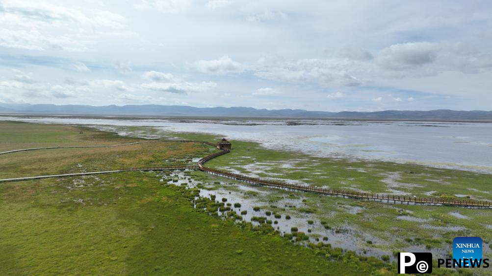 Scenery of Gahai Lake wetland in NW China