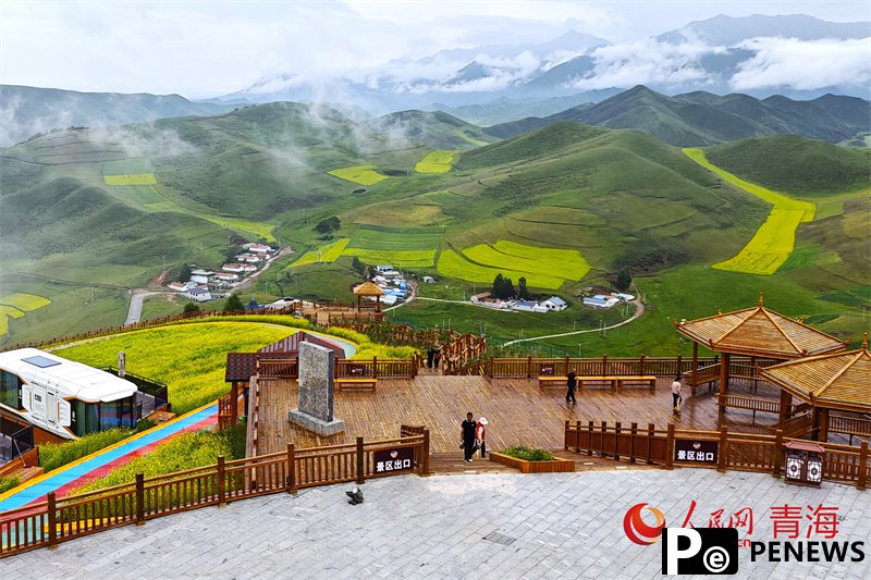 Rapeseed fields fuel tourism surge in Menyuan, NW China