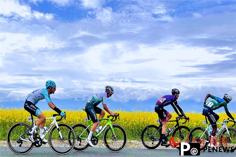 Rapeseed fields fuel tourism surge in Menyuan, NW China