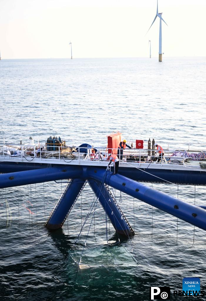 fishery integrated project starts operation in Shanwei, Guangdong