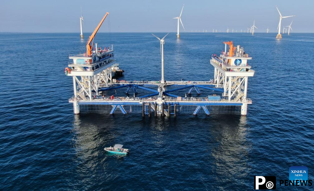 fishery integrated project starts operation in Shanwei, Guangdong