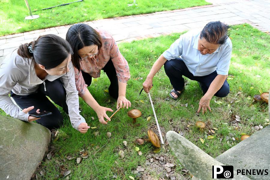 Chinese Juncao technology innovators bring tangible benefits to Africans