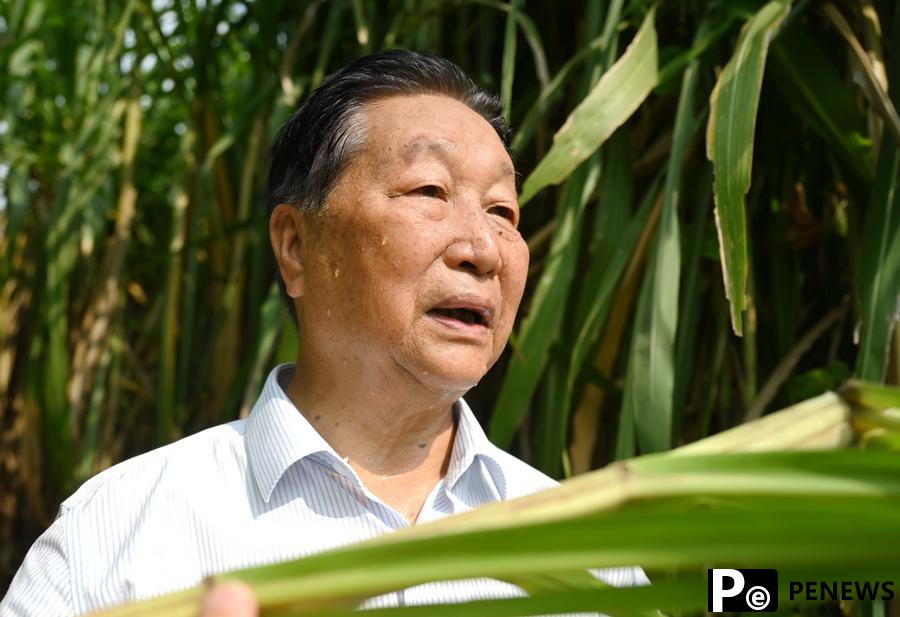 Chinese Juncao technology innovators bring tangible benefits to Africans