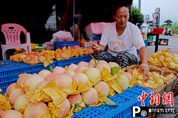 Peaches from Fenghua, E China
