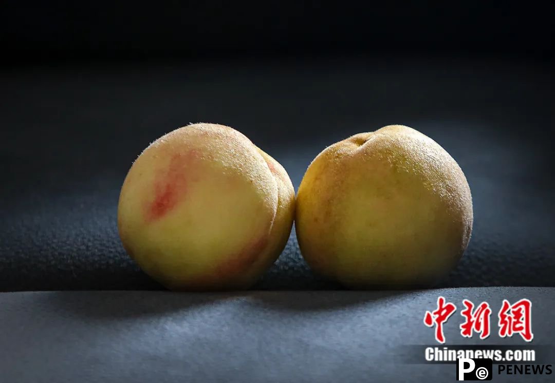 Peaches from Fenghua, E China