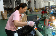Guangxi accelerates opening up and promotes cross