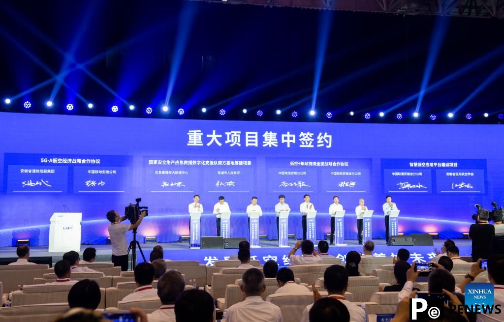 In pics: 2024 Low Altitude Economic Development Conference in Wuhu, E China