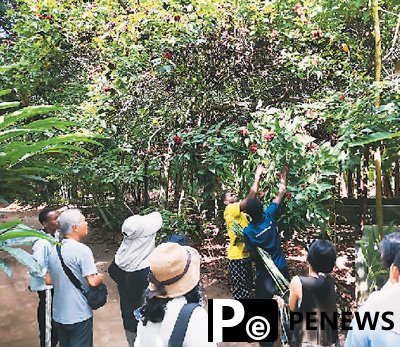 Trips to Africa gain increasing popularity among Chinese tourists