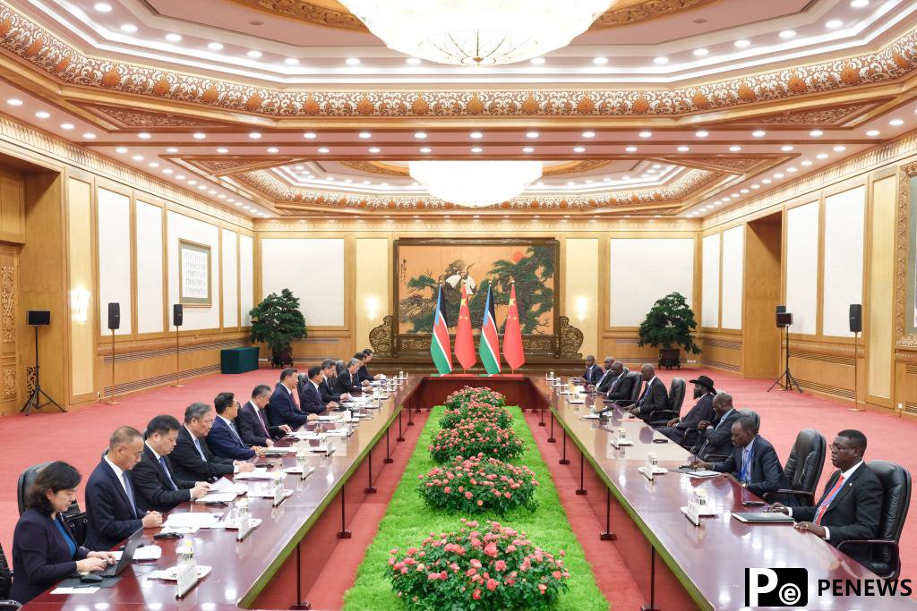 Chinese, South Sudanese presidents elevate bilateral ties