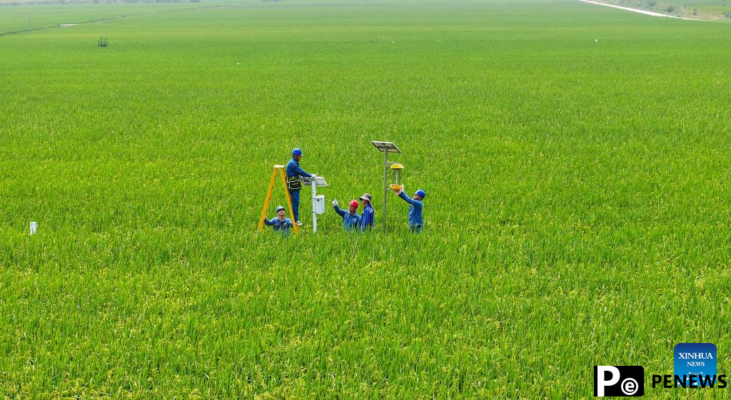 Smart technologies applied into agricultural management in Chuzhou, E China