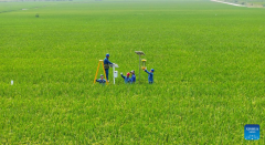 Smart technologies applied into agricultural management in Chuzhou, E China