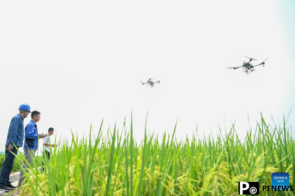 Smart technologies applied into agricultural management in Chuzhou, E China