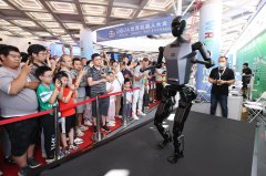 Chinese robot industry strides toward high