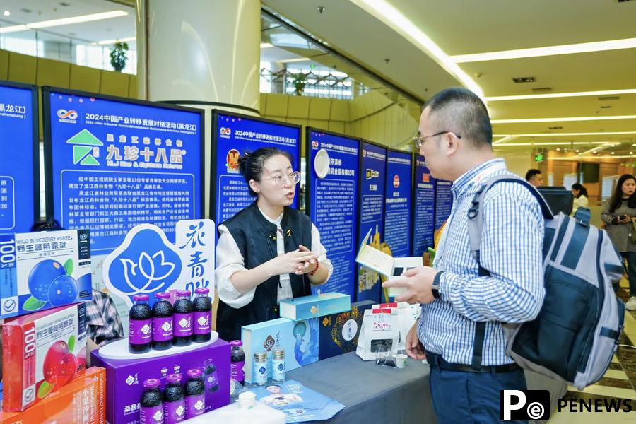 Entrepreneurs eye opportunities in northeast China