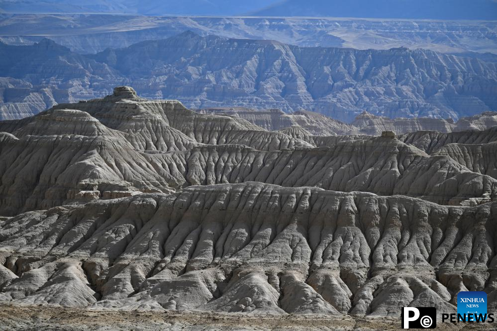Scenery of earth forest in Zanda County, SW China