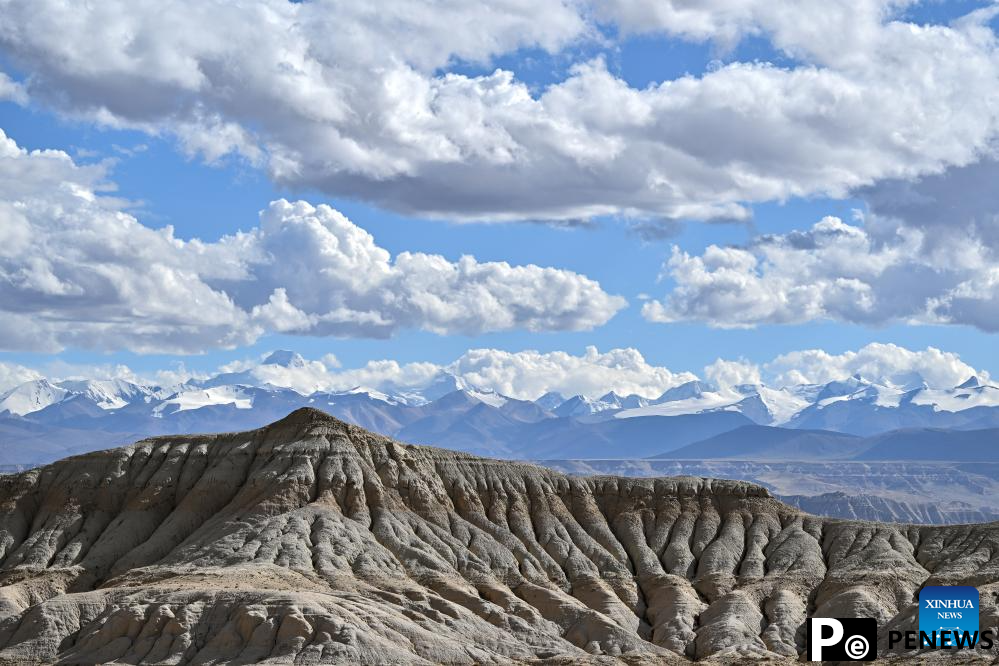 Scenery of earth forest in Zanda County, SW China