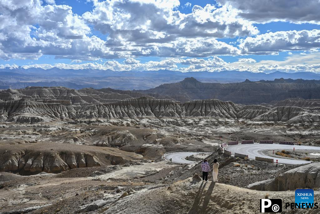 Scenery of earth forest in Zanda County, SW China