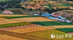 Autumn scenery of Qilian Mountains in NW China's Qinghai