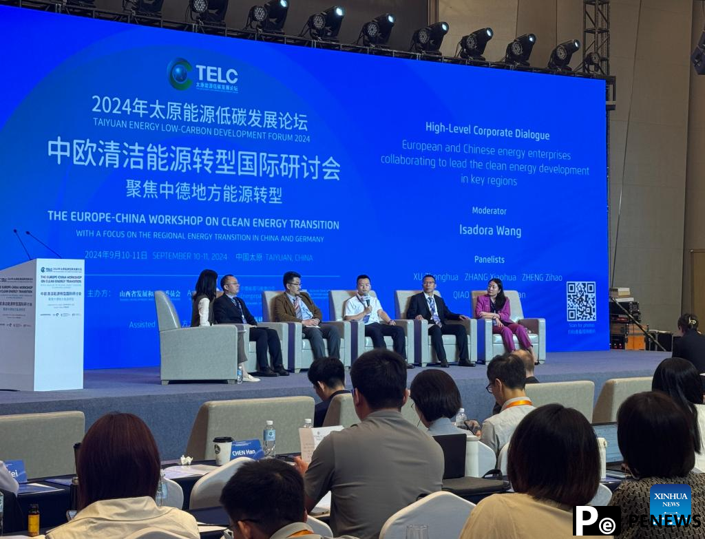 Foreign companies seek cooperation opportunities with China on energy transition