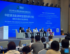 Foreign companies seek cooperation opportunities with China on energy transition