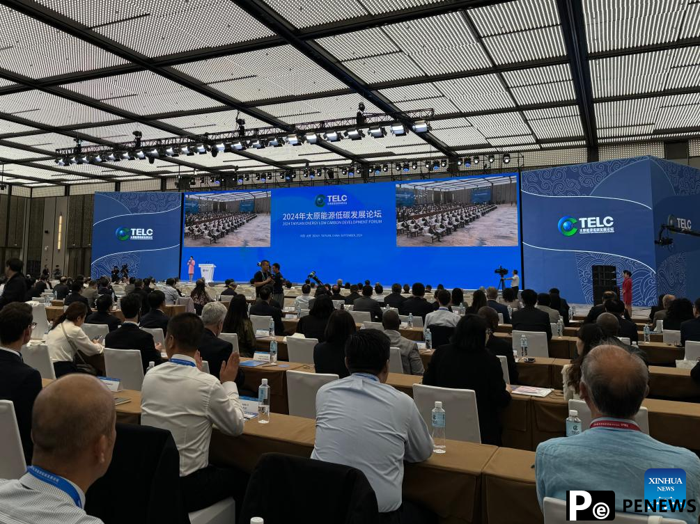 Foreign companies seek cooperation opportunities with China on energy transition