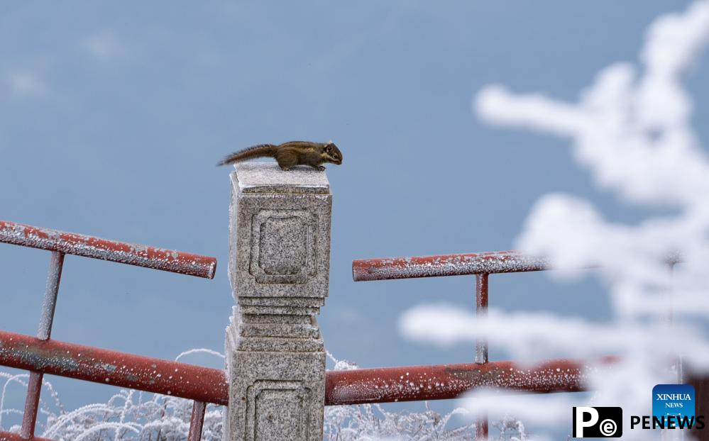 Snow scenery of Mount Emei in Sichuan, SW China