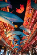Yuyuan Garden Lantern Fair to light up Shanghai on New Year's Day