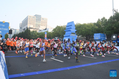 Highlights of 2024 Hangzhou Marathon