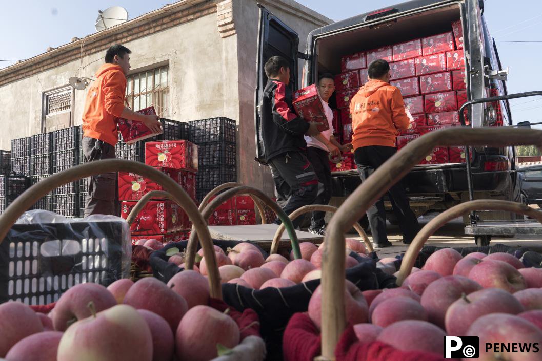 commerce prospers in western regions of China, delivers benefits to locals