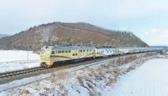 China launches 1,737 tourist trains in first 11 months of 2024