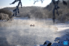 Scenery at scenic spot in Wudalianchi City of China's Heilongjiang